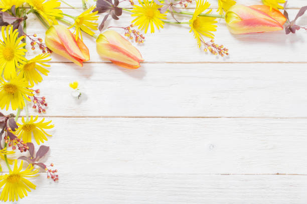 istock flowers on white wooden background 1185716762