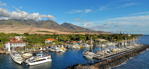 An aerial view of Lahaina harbor on Maui, Hawaii A panoramic view of the marina with mountains in the background maui stock pictures, royalty-free photos & images