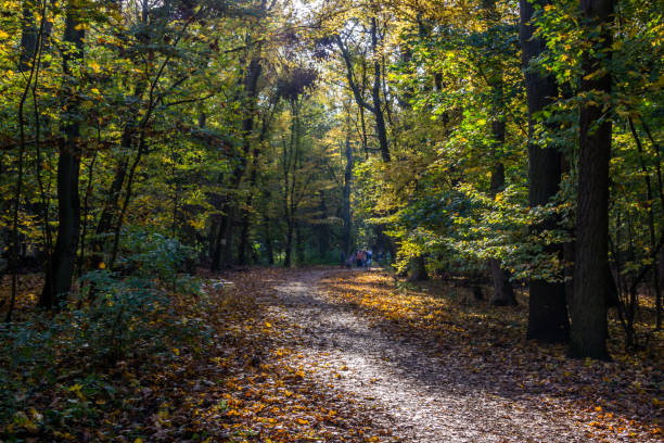 istock colors of the autumn 1185721796