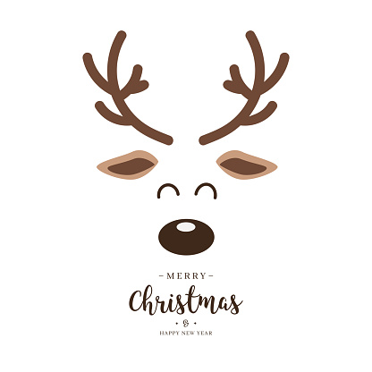 Reindeer red nosed cute close up face with greetings isolated white background. Christmas card