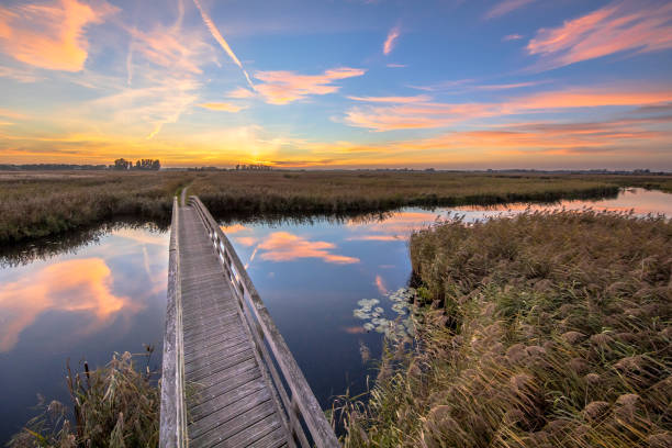 istock Wooden bridge for bicycles 1185724958