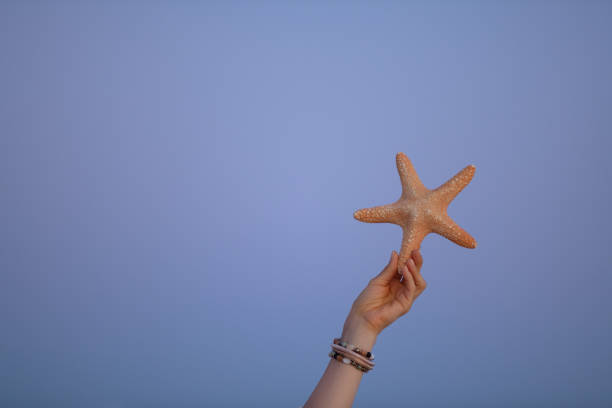 Little boy having fun snorkeling, The boy is showing a starfish to the camera. Focus on the starfish. Sunny summer day.