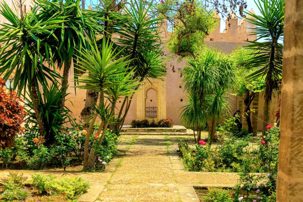View of the Andalusian Gardens in The Kasbah of the Udayas ancient fortress in Rabat in Morocco View of the Andalusian Gardens in The Kasbah of the Udayas ancient fortress in Rabat in Morocco is located at the mouth of the Bou Regreg river. Rabat is the capital of Morocco. 22,04,2019 andalusian gardens photos stock pictures, royalty-free photos & images