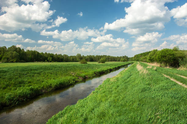 istock Eastern Poland and river flowing through meadow and forest, clouds on blue sky 1185729101