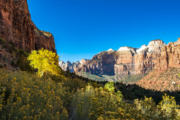istock Zion National Park in autumn 1185735142