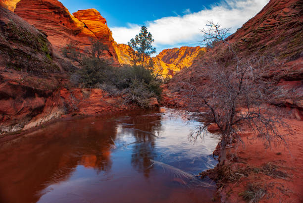 Ice in Snow Canyon State Park Snow Canyon State Park, Utah, USA snow canyon state park stock pictures, royalty-free photos & images