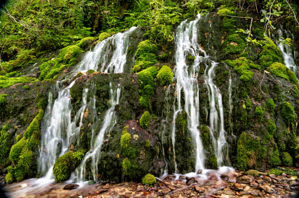 istock Beautiful waterfall, river Raca, spring Ladjevac, rocks covered with dense green moss, fresh water, and air on Mount Tari, on the footpath through the forest leading to the Raca monastery. 1185735927