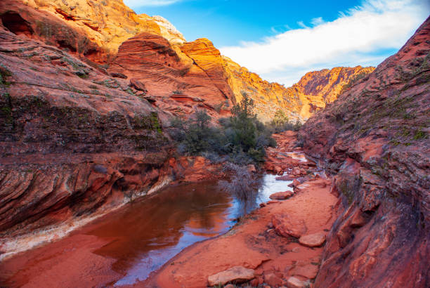 Winter in Snow Canyon State Park Snow Canyon State Park, Utah, USA snow canyon state park stock pictures, royalty-free photos & images