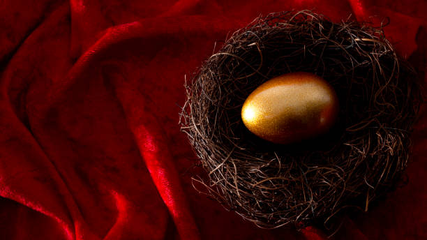 개인 은퇴 계좌, 개인 저축 및 연금 기금 개념과 함께 축적 된 재산을 상징하는 둥지에 황금 알이 있는, 복사 공간이있는 레드 벨��벳 배경에 고립 - birds nest animal nest nest egg savings 뉴스 사진 이미지