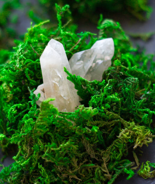 istock Clear quartz crystal on bright green moss 1185736471