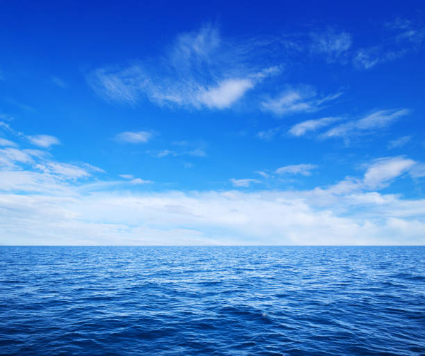 istock beautiful beach and tropical sea 1185741650