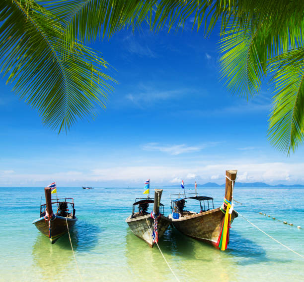 istock beach and tropical sea 1185741654