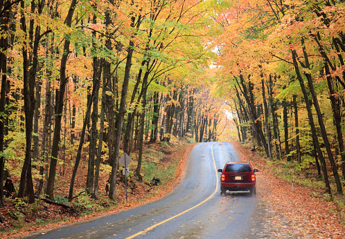 A red sedan driving through a gorgeous forest of maples, elm, and poplar trees. Image taken in Ontario, Canada during prime autumn colour. Scenic fall drive scene.