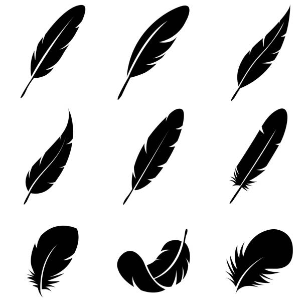 ilustraciones, imágenes clip art, dibujos animados e iconos de stock de icono de conjunto de plumas, logotipo aislado sobre fondo blanco - ligero