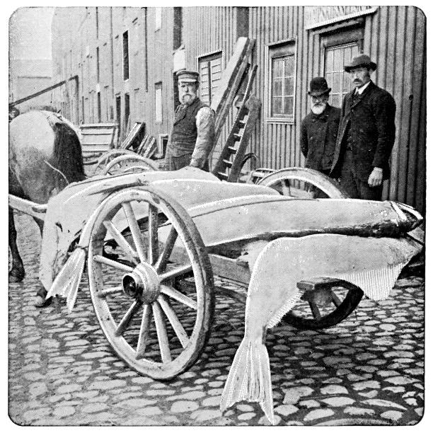 Vendor Selling Fish at the Fish Market in Bergen, Norway - 19th Century Vendor selling fish off a cart in the fish market in the city of Bergen, Hordaland, Norway. Vintage halftone photo circa late 19th century. fish market photos stock pictures, royalty-free photos & images