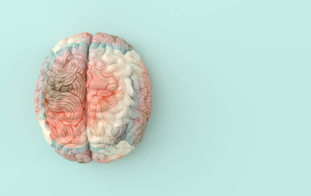 istock 3d brain rendering illustration template background. The concept of intelligence, brainstorm, creative idea, human mind, artificial intelligence. 1185745343