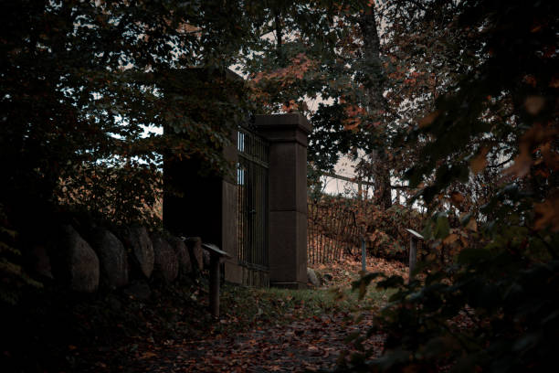 istock Dark, mysterious gate in the middle of the forest 1185745446
