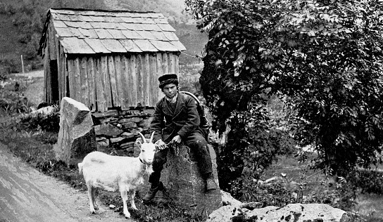 Portrait of a Norwegian teenage farm boy with goat in traditional clothing in rural Norway. Vintage halftone photo circa late 19th century.