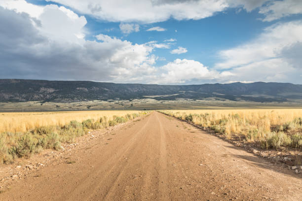 istock Long straight dirt road in Utah with dramatic clouds 1185747380
