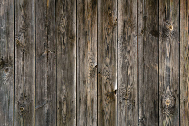배경, 질감 - 페인트되지 않은 보드에서 판자 울타리 - log log cabin wood knotted wood 뉴스 사진 이미지