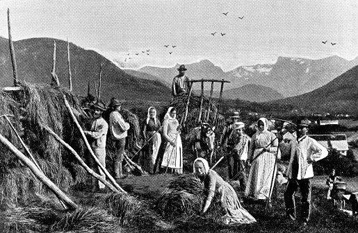 Large group of people harvesting hay at a farm in Jolster, Norway. Vintage halftone etching circa late 19th century.