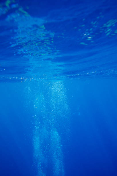 istock Underwater view of the sea surface 1185750853