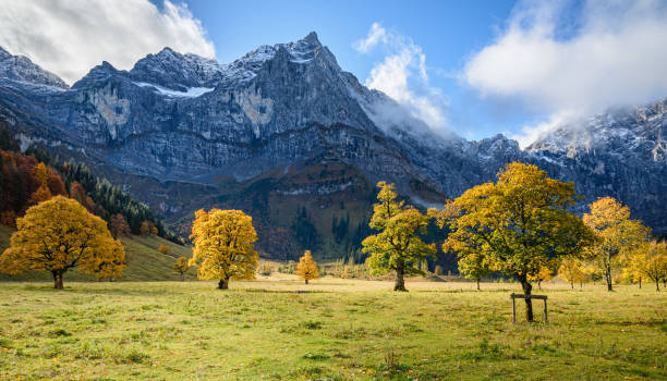 istock Autumn in the Maple Soil - Karwendel Mountains - Alps - 1185751094