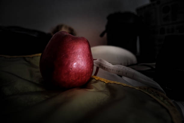 Red apple, green bib and sun glasses case for this summer still life picture