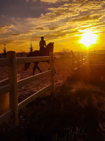 man riding horse at sunset