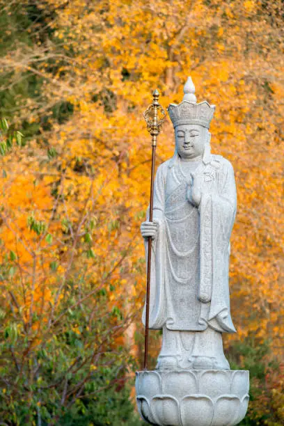 Ksitigarbha Buddha, a Bodhisattva, stone statue with yellow fall colors in the background