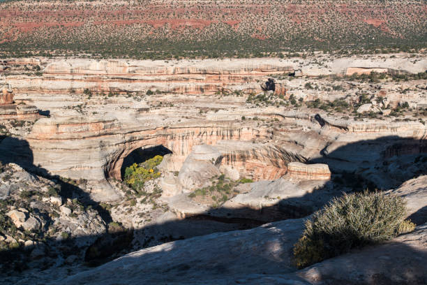 istock Sipapu Bridge at Natural Bridges Natural Monument 1185756137