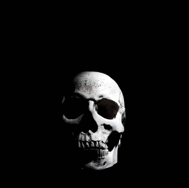 istock Dark skull of occult death 1185760439
