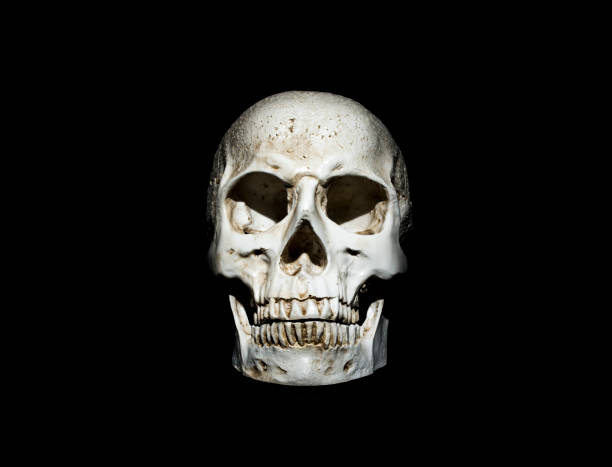 istock Dark skull of occult death 1185760470