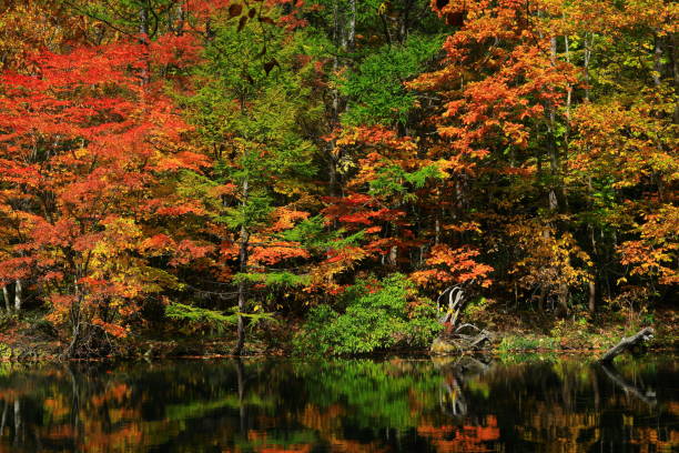 istock Hachimantai in colored leaves, Iwate Prefecture 1185763428