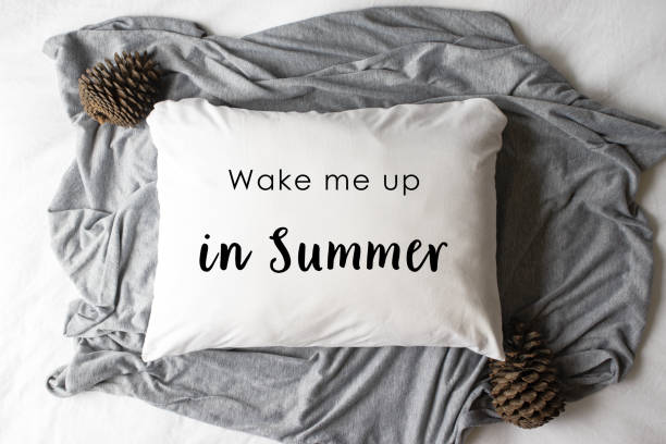 "Wake me up in Summer" text written on a white pillow with autumn/winter props - hipster concept white pillow with winter scene and text hibernation stock pictures, royalty-free photos & images
