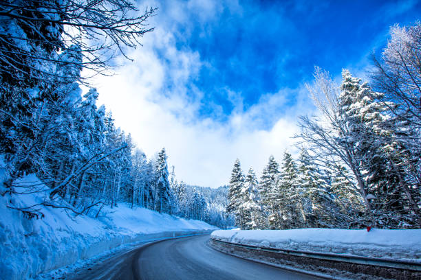snowy road at winter passes inside forest and mountain