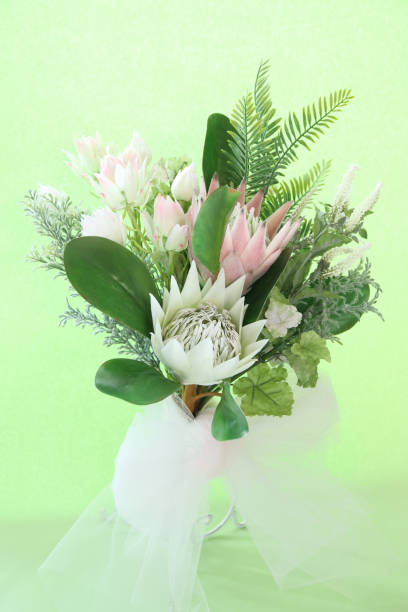 istock bouquet of Protea and Blushing Bride 1185771079