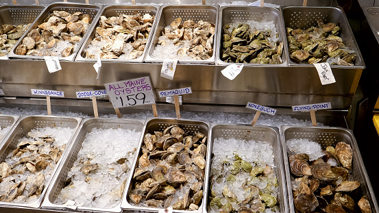 a variety of fresh oysters on ice for sale at a store in portland maine
