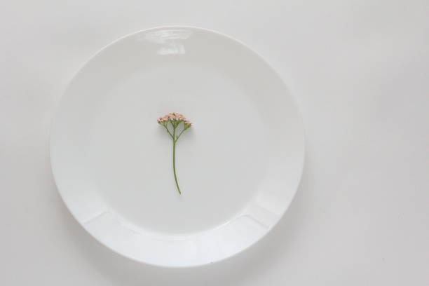 istock Minimalistic composition of the flower, and white dish. Achillea. Flat lay, top view, copy space 1185773764