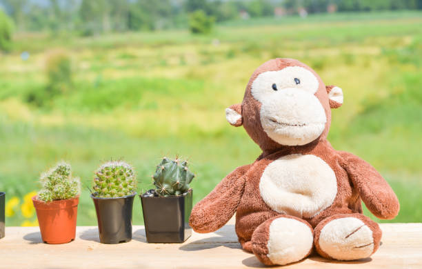 istock a monkey doll sitting next to cactus set on blurred backgrounds. 1185776295