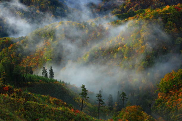 istock Mt. Chokai in Akita Prefecture 1185776358