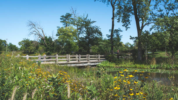 istock wooden bridge in outdoor park 1185776391