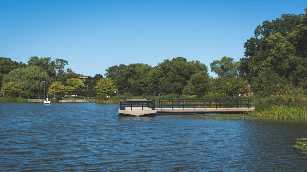 istock pond with swan shaped paddleboat 1185776456
