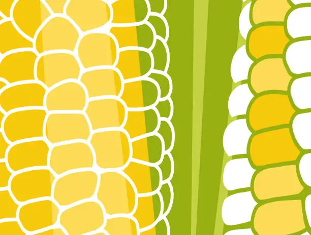 Vector illustration of Abstract vegetable design in flat cut out style. Close up image of corn on the cob.