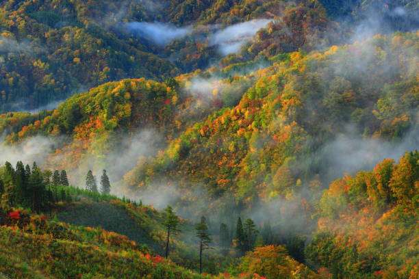 istock Mt. Chokai in Akita Prefecture 1185778223