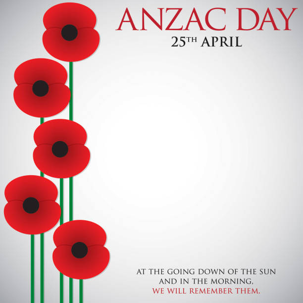 ilustrações, clipart, desenhos animados e ícones de anzac (austrália new zealand army corps) cartão do dia em formato vetorial. - corps