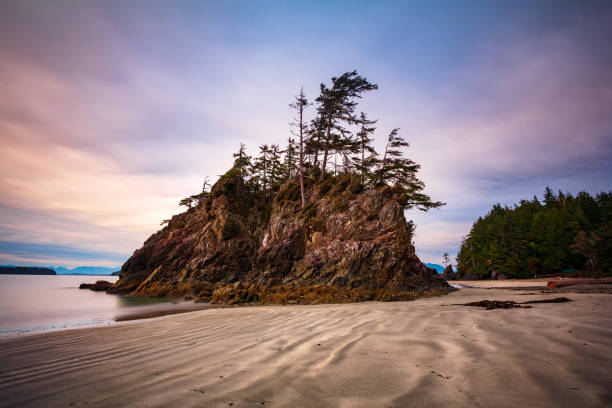 istock Vancouver Island, Canada 1185785178