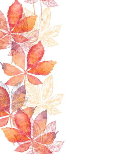 illustrations, cliparts, dessins animés et icônes de encre vectorielle de feuille d'arbre de châtaignier et modèle sans couture d'aquarelle - chestnut tree leaf tree white background