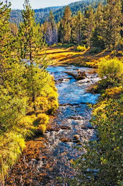 istock Flowing Creek Mt Lassen National Park 1185789108