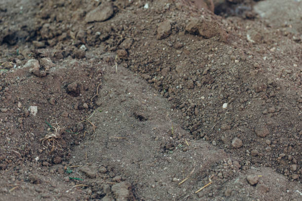 istock soil on the ground as texture 1185790017